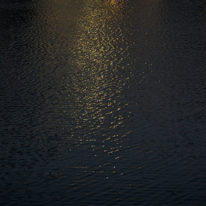 绿帽社入口网站在线
