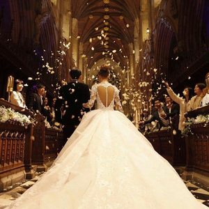 绿帽社入口网站在线
